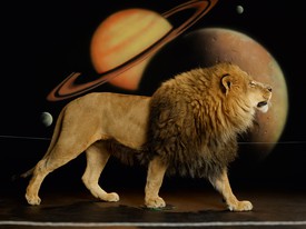 Awol Erizku, Lion (Body) I, 2022, Duratrans on lightbox, 49 ⅜ × 65 ⅝ × 3 ¾ inches (125.4 × 166.7 × 9.5 cm) © Awol Erizku