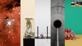 Taryn Simon, details from An American Index of the Hidden and Unfamiliar, 2007; A Living Man Declared Dead and Other Chapters I–XVIII, 2008–11; A Cold Hole, 2018; An Occupation of Loss, 2016; and Paperwork and the Will of Capital, 2015