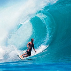 Ashley Bickerton